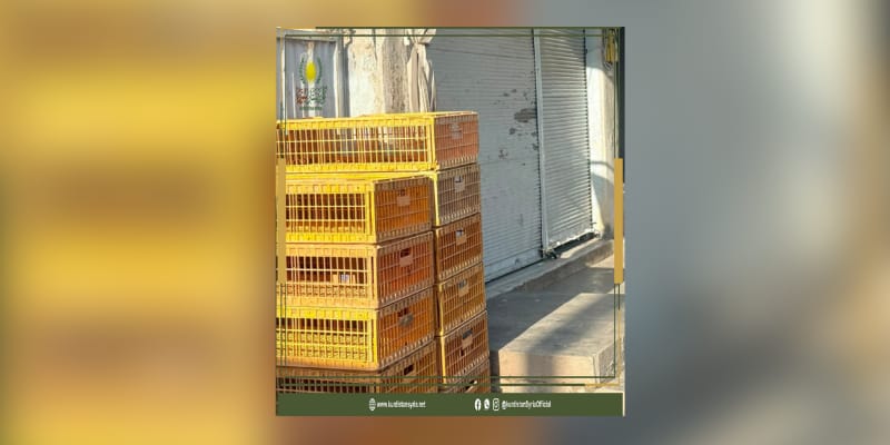 سعر الكيلو يلامس 48 ألفاً.. أزمة الفروج تتصاعد في عامودا